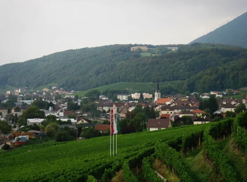 Vue de la ville de Neuchâtel